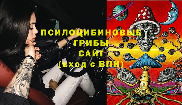 тгк Гусев
