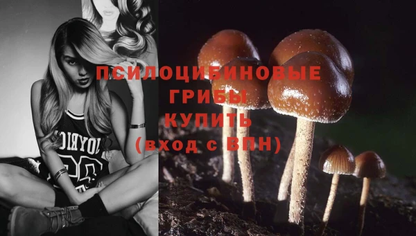 прущая мука Белокуриха