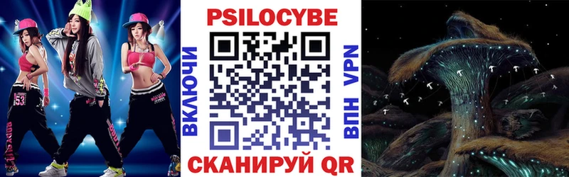 купить   kraken сайт  Галлюциногенные грибы Psilocybine cubensis  Гулькевичи 